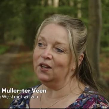 WIJ(S) MET WOLVEN IN EEN VANDAAG