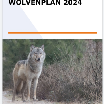 Concept Wolvenplan 2024